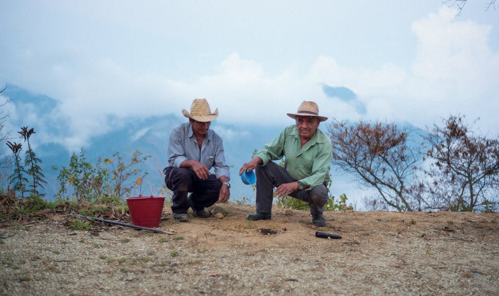 "The tropical dry forest ecosystems are among the most endangered habitats in the world".